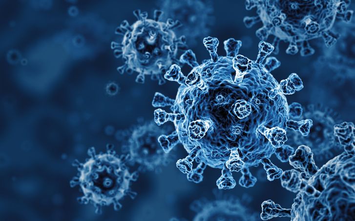 Immortal Cells and Mathematics Reveal Mechanism behind Coronavirus Infection