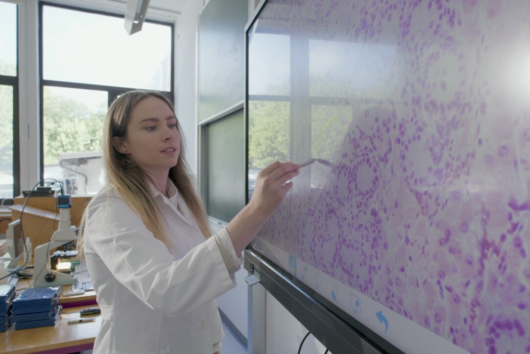 HSE Scientists Reveal What Drives Public Trust in Science